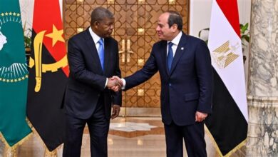 319 الدبلوماسية المصرية في أفريقيا عام ۲۰۲٥ مقاربة شاملة للسلم والتنمية والتكامل الإقليمي