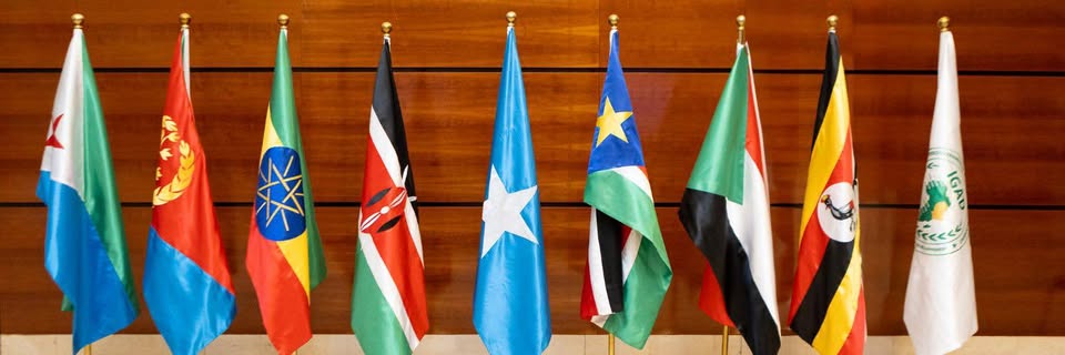 إيجاد تعرب عن أسفها لانسحاب إريتريا من المنظمة بعد أقل من عامين على عودتها 1 488419126 979764234334772 6196986022140346646 n إيجاد تعرب عن أسفها لانسحاب إريتريا من المنظمة بعد أقل من عامين على عودتها