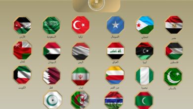 7d7d8100 bf2b 4aeb af0b 5bd4dfb5d639 تفاصيل بيان مشترك لـ 21 دولة عربية وإسلامية ومنظمة التعاون الإسلامي تعليقا على اعتراف اسرائيل باقليم "أرض الصومال"