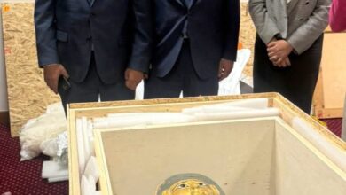 FB IMG 1764700917261 مصر تستعيد قطعتين أثريتين من بلجيكا 