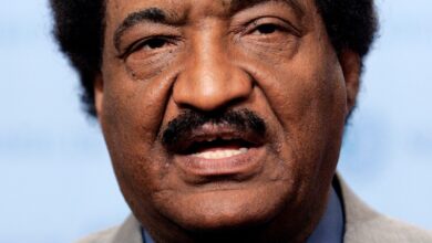 السفير عبد المحمود عبد الحليم يكتب .. إفريقيا وعام ٢٠٢٥ : جرد حساب 1 IMG 20240117 WA0014 1 السفير عبد المحمود عبد الحليم يكتب .. إفريقيا وعام ٢٠٢٥ : جرد حساب