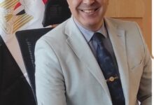 IMG 20250822 WA0015 1 1 1 الدكتور محمود أحمد فراج يكتب : القوة الناعمة المصرية في أفريقيا .. نهضة الحضور منذ عام 2014