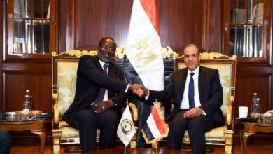 IMG 20251220 WA0020 وزير الخارجية المصري رئيس مفوضية الإيكواس يبحثان سبل تعزيز التعاون المشترك