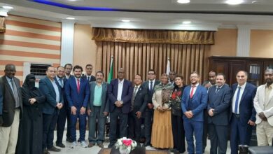 IMG 20251222 WA0013 مصر ترسل قافلة طبية نوعية ومستلزمات علاجية وأدوية إلى السودان