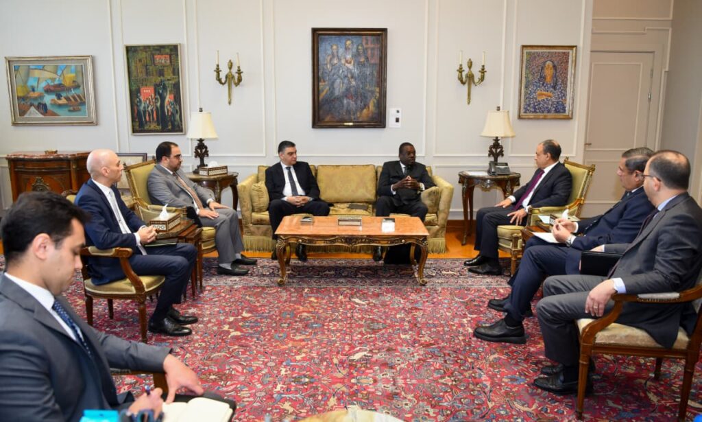 IMG 20251229 WA0003 وزير الخارجية يؤكد استعداد مصر الكامل لنقل خبراتها وتجاربها الصحية والدوائية الناجحة إلى الدول الأفريقية الشقيقة