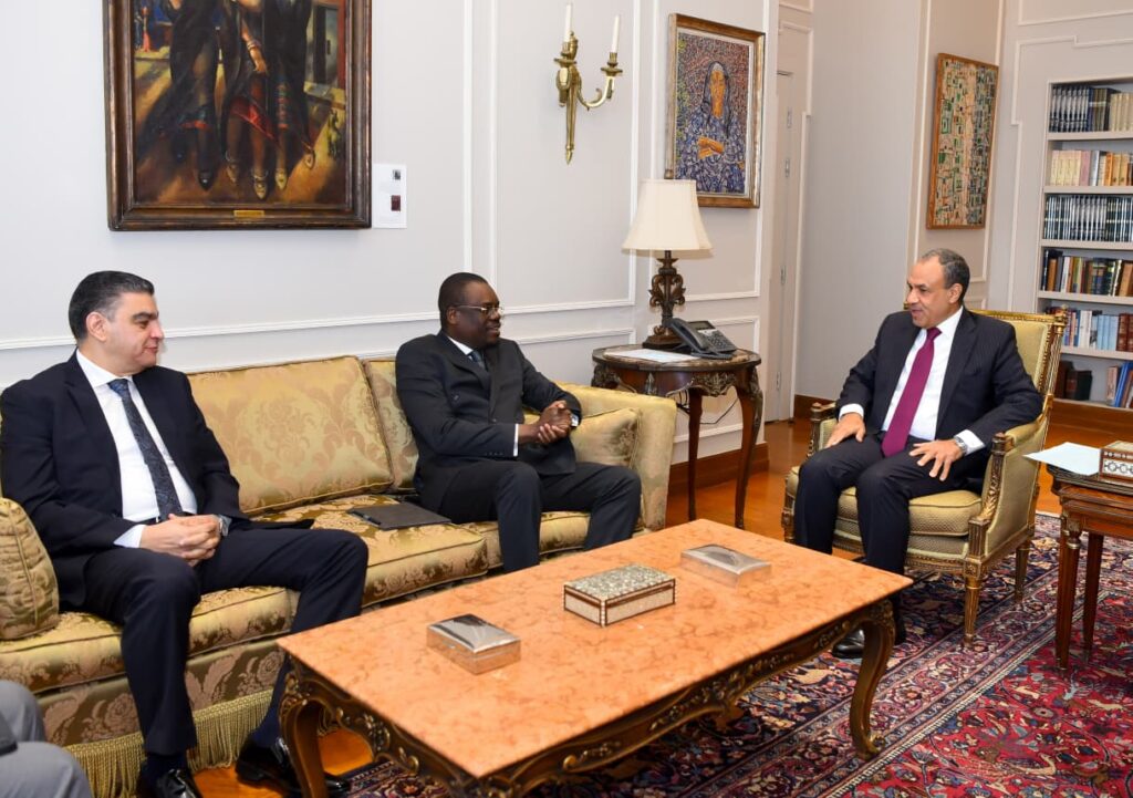 IMG 20251229 WA0005 وزير الخارجية يؤكد استعداد مصر الكامل لنقل خبراتها وتجاربها الصحية والدوائية الناجحة إلى الدول الأفريقية الشقيقة
