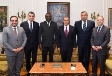 IMG 20251229 WA0007 وزير الخارجية يؤكد استعداد مصر الكامل لنقل خبراتها وتجاربها الصحية والدوائية الناجحة إلى الدول الأفريقية الشقيقة