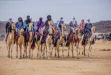 IMG 7451 1536x1098 1 " الطوارق" الثقافة والعادات والتقاليد تتصدر مهرجان آير الـ 17 بمدينة إيفيروان في شمال النيجر