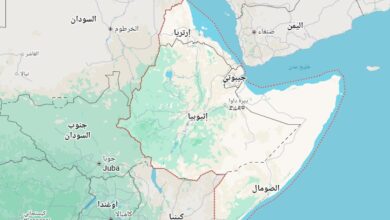 إريتريا تعلن انسحابها رسمياً من "إيجاد" وسط توترات متصاعدة في منطقة القرن الإفريقي 1 Screenshot 2025 12 12 211350 إريتريا تعلن انسحابها رسمياً من "إيجاد" وسط توترات متصاعدة في منطقة القرن الإفريقي