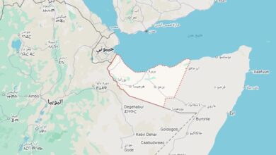 Screenshot 2025 12 26 234801 اعتراف إسرائيل بأرض الصومال يفجّر أزمة إقليمية .. سياسات نتنياهو تشعل بؤرة توتر جديدة في إفريقيا