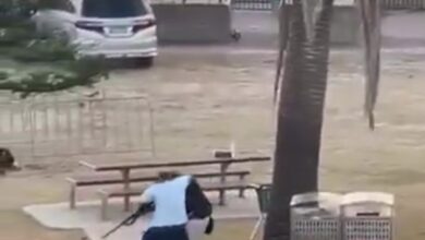 Screenshot ٢٠٢٥ ١٢ ١٤ ١٨ ٣٧ ٣٠ ٧٨ 0b2fce7a16bf2b728d6ffa28c8d60efb شاهد بالفيديو .. مسلم أعزل يتصدى لإطلاق النار في سيدني