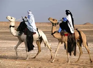 download 4 " الطوارق" الثقافة والعادات والتقاليد تتصدر مهرجان آير الـ 17 بمدينة إيفيروان في شمال النيجر