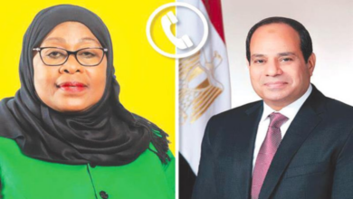 image 2025 12 25T095241.640 2 768x461 1 مصر وتنزانيا تؤكدان تعزيز الشراكة السياسية والاقتصادية والتعاون القطاعي