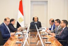 IMG 20260106 WA0013 مصر تؤكد دعمها الكامل لوحدة وسيادة الصومال أمام مجلس السلم والأمن الأفريقي