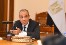 IMG 20260111 WA0011 وزير الخارجية يؤكد على الدور المحورى للقطاع الخاص في تعزيز الشراكات الاقتصادية مع أفريقيا