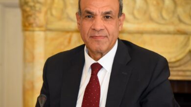 IMG 20260131 WA0010 وزير الخارجية المصري يتوجه إلى أديس أبابا ( تفاصيل)