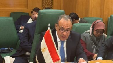 WhatsApp Image 2026 01 10 at 6.41.48 PM وزير الخارجية المصري يؤكد رفض مصر القاطع لأي اعتراف أحادي الجانب وغير مشروع بـ " أرض الصومال "