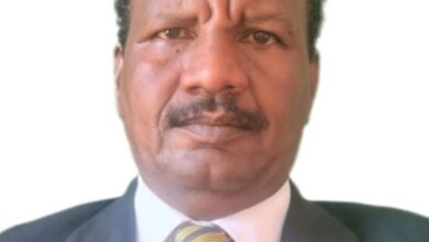 e0ed6e48 61fb 42e1 94b0 3ebec6827d47 الكاتب الصحفي السوداني خالد الفكي سليمان يكتب : المليشيات في أفريقيا.. صراع النفوذ والسلطة