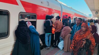 e1ec8231 2ff2 4284 a671 5b77fed50c6f قطار العودة الطوعية للسودانيين.. انطلاق الرحلة رقم 45 من محطة مصر في ختام 2025