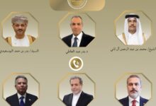 نسخة من البوم 20260131 095645 ٠٠٠٠ وزير الخارجية المصري : لا حول عسكرية لمختلف التحديات التي تواجه المنطقة 