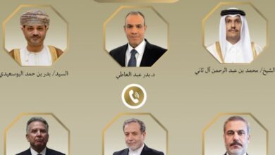 نسخة من البوم 20260131 095645 ٠٠٠٠ وزير الخارجية المصري : لا حول عسكرية لمختلف التحديات التي تواجه المنطقة 