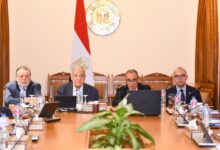 635844562 1228291776147333 2959758776634023951 n وزير الخارجية يفتتح الاجتماع الأول لمجلس أمناء الوكالة المصرية للشراكة من أجل التنمية