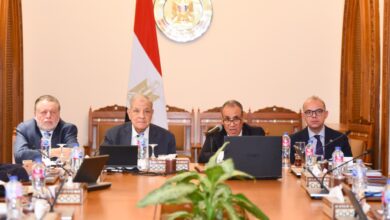 635844562 1228291776147333 2959758776634023951 n وزير الخارجية يفتتح الاجتماع الأول لمجلس أمناء الوكالة المصرية للشراكة من أجل التنمية