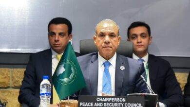 IMG 20260212 WA0004 1 المتحدث باسم الخارجية المصرية : مشاركة مصر في القمة الأفريقية تستند إلي إرث تاريخي