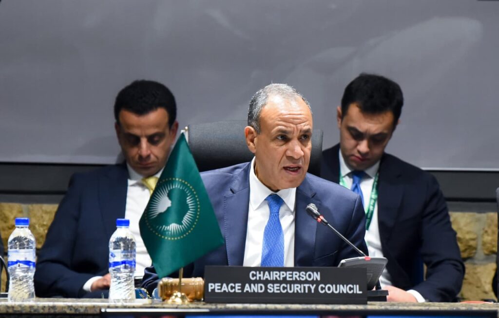 IMG 20260212 WA0010 مصر تقود تحركاً أفريقياً داعماً لوحدة وسيادة كل من السودان والصومال