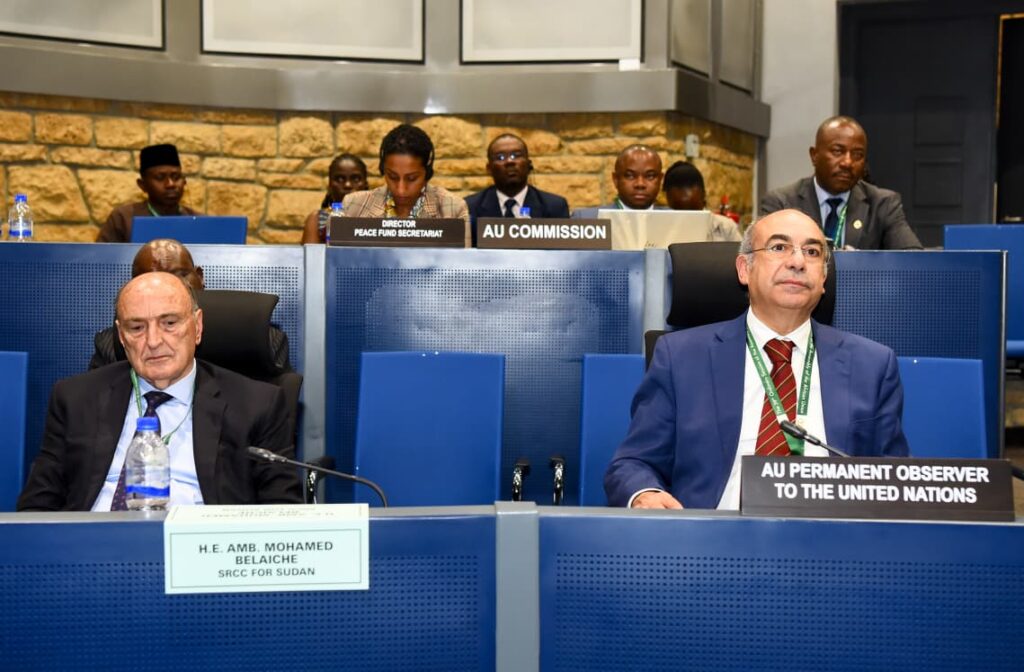 IMG 20260212 WA0011 مصر تقود تحركاً أفريقياً داعماً لوحدة وسيادة كل من السودان والصومال