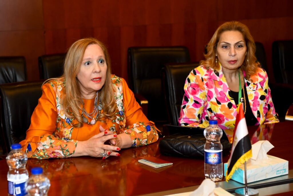 IMG 20260215 WA0041 وزير الخارجية يؤكد أهمية القطاع الخاص في تحقيق التنمية المستدامة في أفريقيا