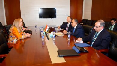 IMG 20260215 WA0043 وزير الخارجية يؤكد أهمية القطاع الخاص في تحقيق التنمية المستدامة في أفريقيا