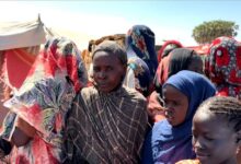 image1170x530cropped 1 1 وزراء خارجية 5 دول أوربية : تقرير بعثة تقصي الحقائق في جرائم الفاشر دعوة واضحة للتحرك الدولي العاجل