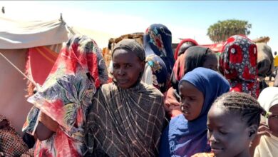 image1170x530cropped 1 1 وزراء خارجية 5 دول أوربية : تقرير بعثة تقصي الحقائق في جرائم الفاشر دعوة واضحة للتحرك الدولي العاجل