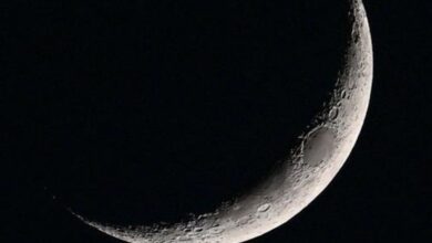 موعد أول أيام شهر رمضان .. مصر وسوريا والأردن وإيران تعلن الخميس والسعودية ودول خليجية تبدأ الأربعاء 1 نسخة من البوم 20260217 182514 ٠٠٠٠ موعد أول أيام شهر رمضان .. مصر وسوريا والأردن وإيران تعلن الخميس والسعودية ودول خليجية تبدأ الأربعاء