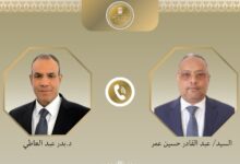 IMG ٢٠٢٦٠٣١٣ ١٦٥٢٣٤ وزيرا خارجية مصر وجيبوتي يبحثان تطورات الأوضاع في القرن الأفريقي