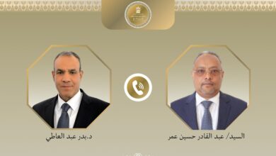 IMG ٢٠٢٦٠٣١٣ ١٦٥٢٣٤ وزيرا خارجية مصر وجيبوتي يبحثان تطورات الأوضاع في القرن الأفريقي