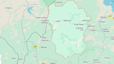 Screenshot 2026 03 12 022434 ماذا يحدث قرب سد النهضة؟ تهجير قسري وحرق منازل وسط اضطرابات أمنية في إقليم بني شنقول الإثيوبي