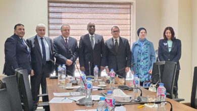 663368538 1474550811127895 9182991758336448897 n إفريقيا في قلب التحرك المصري.. والبرلمان يدعم استراتيجية الدولة الجديدة في القارة