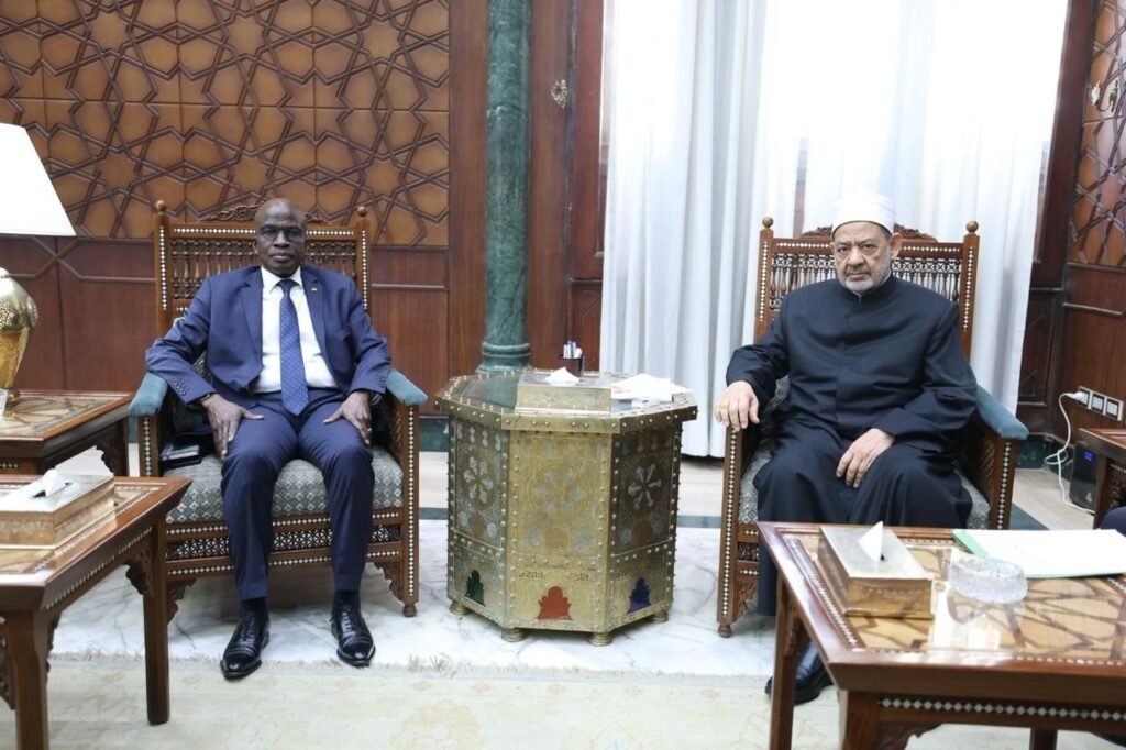 678362188 1530536775097498 2929890680232360158 n الإمام الأكبر يؤكد استعداد الأزهر الشريف لزيادة المنح الدراسية المخصصة لأبناء مالي