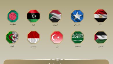 IMG 20260418 WA0027 وزراء خارجية مصر و 9 دول عربية وإسلامية يدينون إعلان إسرائيل تعيين مبعوث دبلوماسي لدى “أرض الصومال”