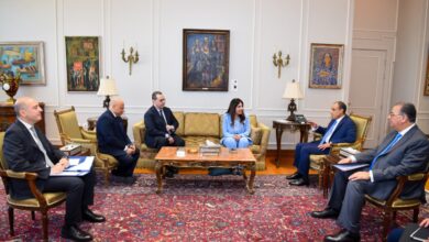 IMG 20260429 WA0013 وزيرا الخارجية والإسكان يبحثان تطوير خدمات المصريين بالخارج و مبادرة "بيتك في مصر"