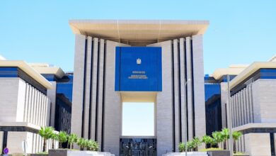 Image064634978678image011941150696banner lg jpg jpg 1 مصر تدين المخطط الإرهابي الذي استهدف أمن واستقرار الإمارات