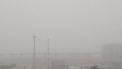 نسخة من البوم 2026 04 02T115037.016 عاصفة رملية تضرب القاهرة وعدة محافظات .. وتحذيرات عاجلة من الأرصاد الجوية