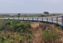 نسخة من البوم 2026 04 03T150444.925 الصين تستثمر 1.24 مليار دولار لإحياء سكة حديد تازارا.. تحرك استراتيجي للسيطرة على نحاس أفريقيا