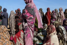 نسخة من البوم 2026 04 24T162031.670 كارثة إنسانية في دارفور وشرق تشاد: تصاعد العنف وتفشي الأمراض يهددان حياة آلاف المدنيين واللاجئين