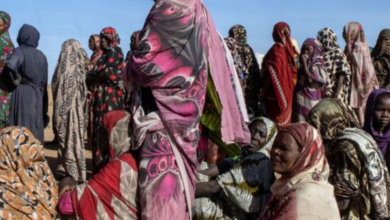 نسخة من البوم 2026 04 24T162031.670 كارثة إنسانية في دارفور وشرق تشاد: تصاعد العنف وتفشي الأمراض يهددان حياة آلاف المدنيين واللاجئين