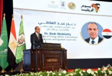 10f2b813 6c56 4c98 be37 4c609ad60691 وزير الخارجية : العلاقات المصرية الإفريقية لم تكن في أي مرحلة مجرد علاقات جوار جغرافي أو مصالح سياسية عابرة