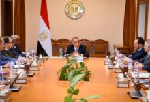 87b638e0 8cbb 44ae a533 3e11740d02b8 1 وزير الخارجية : القطاع الخاص أحد الركائز الرئيسية لتعزيز العلاقات الاقتصادية مع الدول الأفريقية