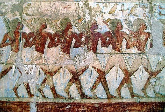 unnamed 9 13 الدكتور حسين عبد البصير يكتب : أفريقيا في قلب الاقتصاد المصري القديم سر القوة الخفية للفراعنة